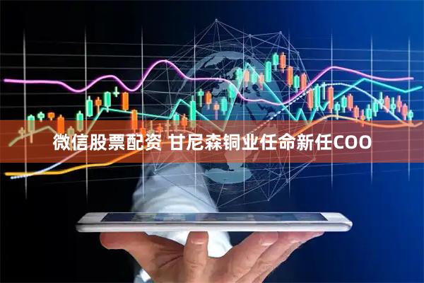 微信股票配资 甘尼森铜业任命新任COO