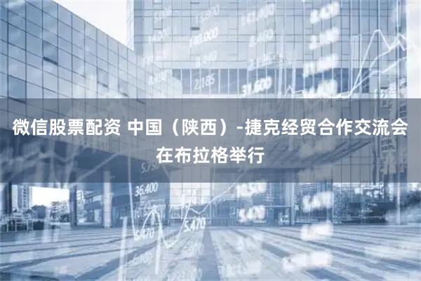 微信股票配资 中国（陕西）-捷克经贸合作交流会在布拉格举行