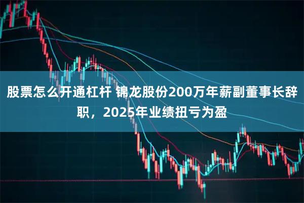 股票怎么开通杠杆 锦龙股份200万年薪副董事长辞职，2025年业绩扭亏为盈