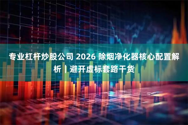 专业杠杆炒股公司 2026 除烟净化器核心配置解析｜避开虚标套路干货